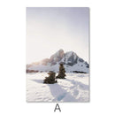 Arctic Landscape Canvas