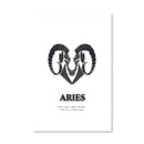 Aries - White Canvas