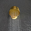 Ariya Shower Head
