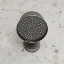 Ariya Shower Head