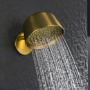 Ariya Shower Head