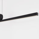 Arlo Pendant Light   Open Box