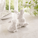 Porcelain Mother and Son Bunny Salt and Pepper