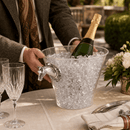 Horse Head Handle Acrylic Ice Bucket