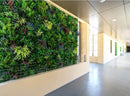 Sample Panel – Country Fern Vertical Garden (Small Sample)