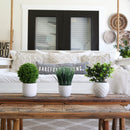 10" Artificial Boxwood Topiary Plant with Decorative Planter