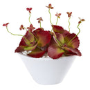 10” Succulent Artificial Plant in White Bowl