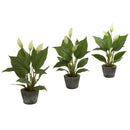 11” Spathyfillum w/Cement Planter (Set of 3)