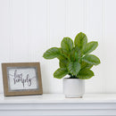 12" Artificial Calathea Plant with Decorative Planter