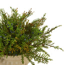 15” Cedar and Blueberry Artificial Plant with Planter