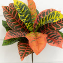 17” Garden Croton Artificial Plant (Real Touch) (Set of 6)