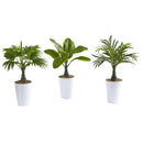 18” Assorted Mini Palm and Banana Artificial Plant in White Planter (Set of 3)