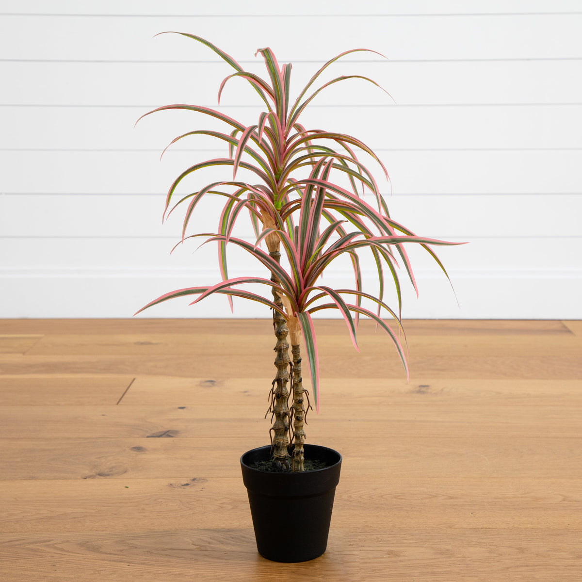 dracaena marginata purple 2' Artificial Dracaena Marginata Plant