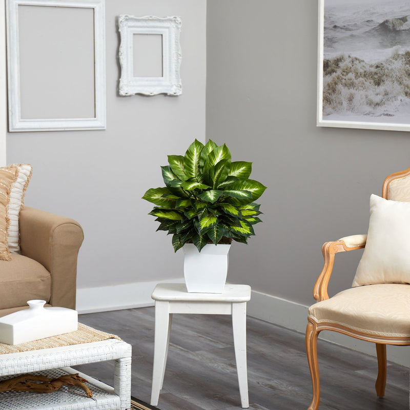 Nearly Natural 2ft. Golden Dieffenbachia Artificial Plant in White Metal Planter