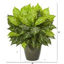 20” Dieffenbachia Artificial Plant in Green Planter