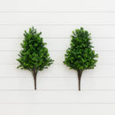 23” Sweet Grass Bush (Set of 2) (Indoor/Outdoor)