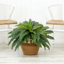 23”Artificial Boston Fern Plant in Handmade  Jute & Cotton Basket with Tassels DIY KIT
