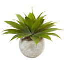 24" Agave in Sand Colored Bowl"