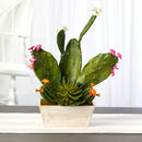24” Mixed Cactus Succulent Artificial Plant in White Wash Planter