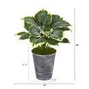 24” Variegated Hosta Artificial Plant in Tin Planter