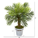 27” Robellini Palm Artificial Tree in White Washed Vintage Metal Pail