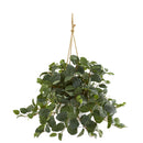 28” Fittonia Artificial Plant in Hanging Metal Bucket