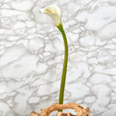 29” Calla Lily Artificial Flower (Set of 6)
