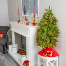 3' Cambridge Spruce Flat Back Artificial Christmas Tree with 50 Warm White (Multifunction) LED Lights and 113 Bendable Branches