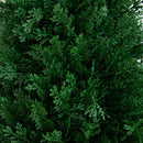 3' UV Resistant Artificial Cedar Plant with Integrated Ground Stake (Indoor/Outdoor) - Set of 2