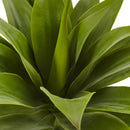 32” Agave Plant w/Stem