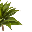 32” Agave Plant w/Stem