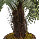 3.5’ Cycas Tree in Wood Planter