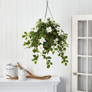 3.5’ Poinsettia and Variegated Holly Artificial Plant in Hanging Cone Basket (Real Touch)