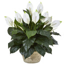 35” Spathifyllum Artificial Plant in White Planter
