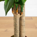 4' Corn Stalk Dracaena Silk Plant (Real Touch)