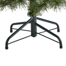 4’ Golden Tip Washington Pine Artificial Christmas Tree with 100 Clear Lights, Pine Cones and 336 Bendable Branches
