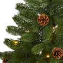 4' Rocky Mountain Spruce Artificial Christmas Tree with Pinecones and 70 Warm White LED Lights