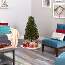 4' Rocky Mountain Spruce Artificial Christmas Tree with Pinecones and 70 Warm White LED Lights