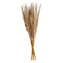 40” Dried Natural Pampass Grass Bundle (Set of 2)