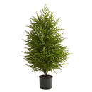 40” Norfolk Island Pine “Natural Look” Artificial Christmas Tree