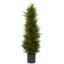 42” Cedar Tree
