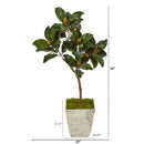42” Magnolia Leaf Artificial Tree in Country White Planter