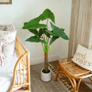 4.5’ Artificial Arrowhead Philodendron in White Decorative Planter