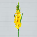 45" Artificial Gladiolus Flower Stems - Set of 3