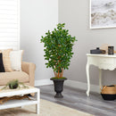 4.5’ Black Olive Artificial Tree in Charcoal Urn