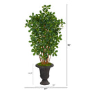 4.5’ Black Olive Artificial Tree in Charcoal Urn