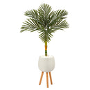 4.5’ Golden Cane Artificial Palm Tree in White Planter with Stand