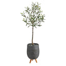 4.5’ Artificial Olive Tree in Gray Planter with Stand