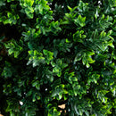 46” Boxwood Artificial Topiary Tree UV Resistant (Indoor/Outdoor)