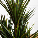 46” Yucca Artificial Tree UV Resistant (Indoor/Outdoor)